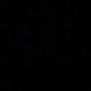 Meet your Posher, Marion